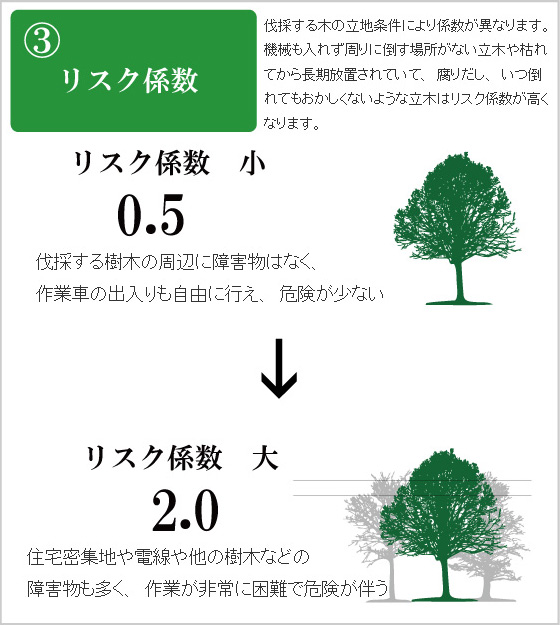 庭木 大木 高木の剪定 伐採は 滋賀のやぞう産業にお任せください